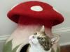 Mokoboho Mushroom Felt Cat Cave