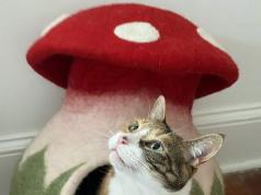 Mokoboho Mushroom Felt Cat Cave