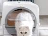 VARLNALY Self Cleaning Litter Box
