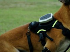 AirLeash Smart Tension GPS Harness with App