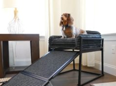 SeatMate Office Chair for Your Pet