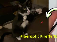 Firefly Feather Laser Toy with Telescopic Design